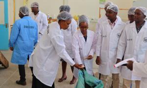 Animal Feeds Formulation Training Practical Session 5