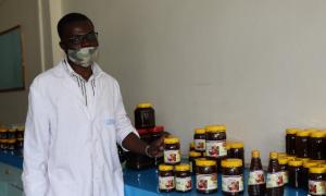 Francis - Supported in Honey Processing