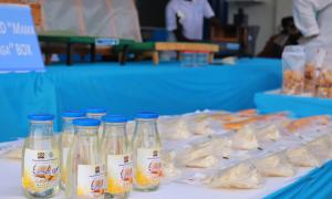 Solar Dried food products