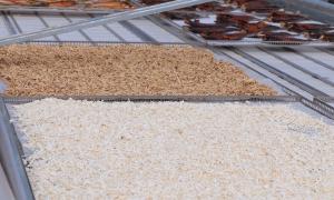 Drying of Agri-produce 